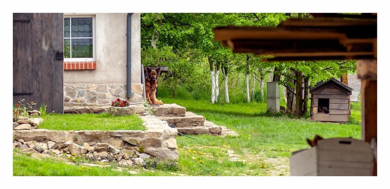 Kozy i Róże Oldrzychowice Klodzkie Exterior foto