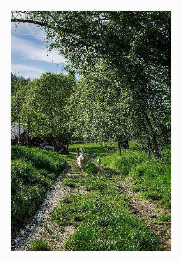 Kozy i Róże Oldrzychowice Klodzkie Exterior foto