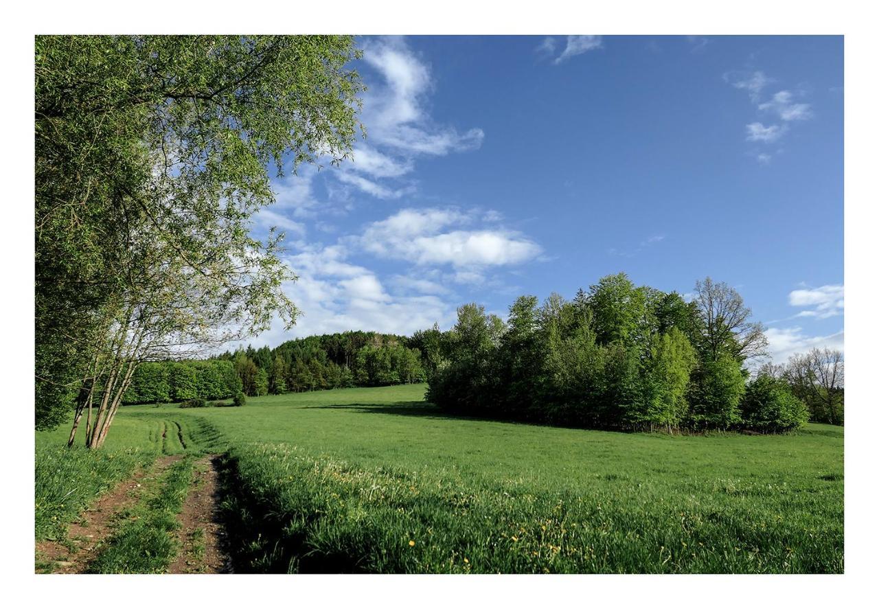 Kozy i Róże Oldrzychowice Klodzkie Exterior foto
