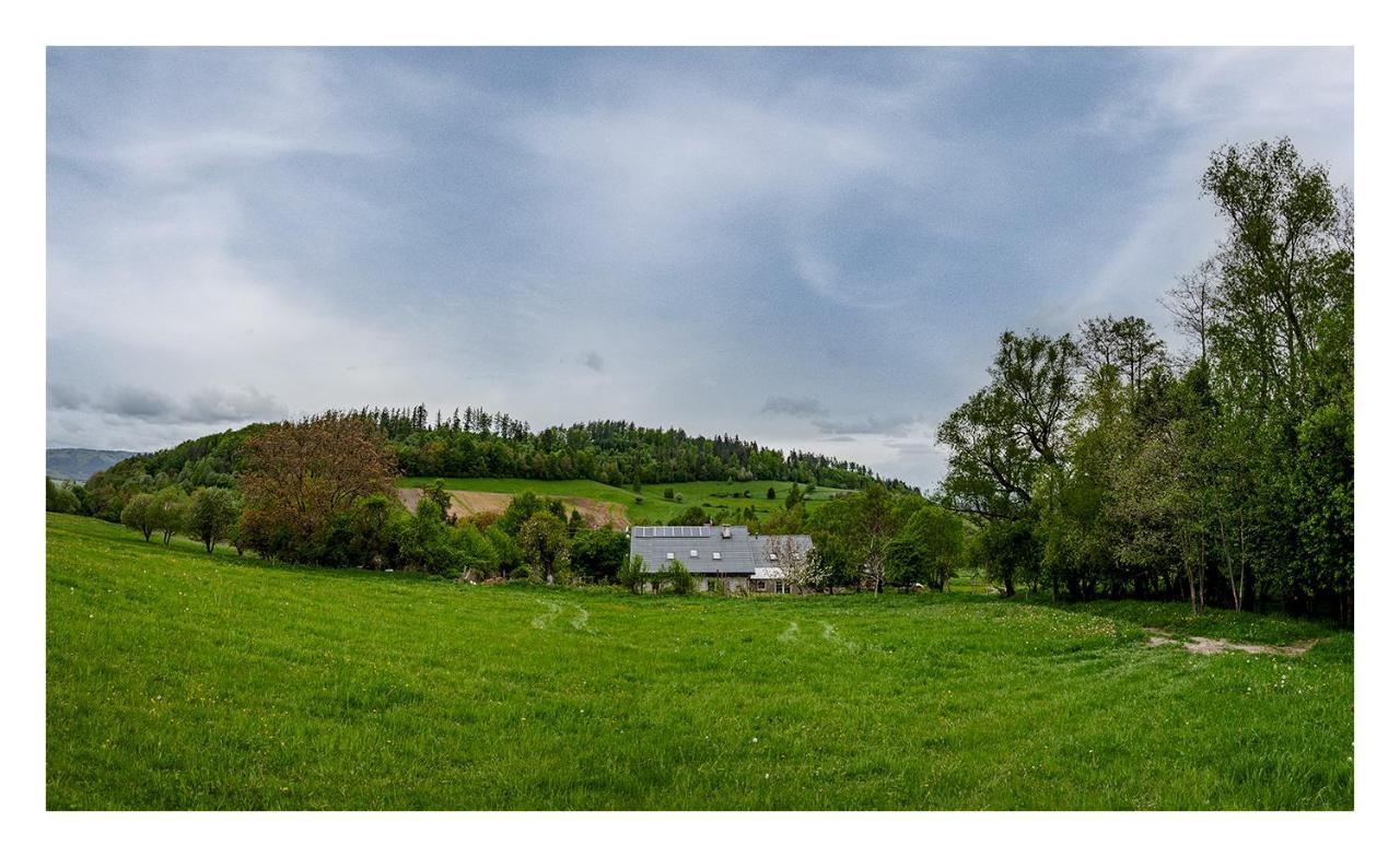 Kozy i Róże Oldrzychowice Klodzkie Exterior foto