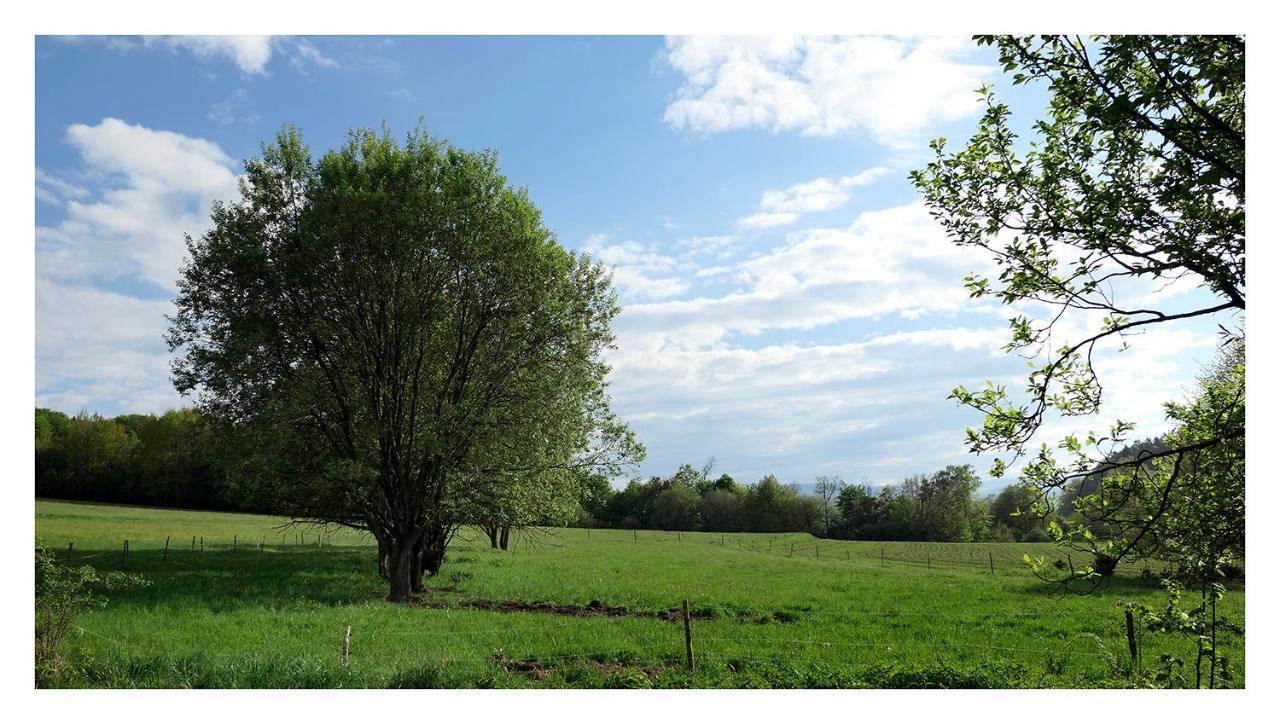 Kozy i Róże Oldrzychowice Klodzkie Exterior foto