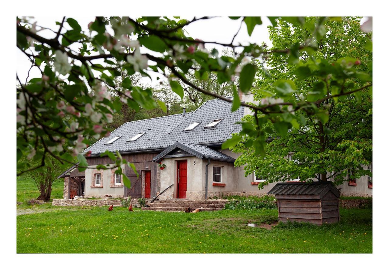 Kozy i Róże Oldrzychowice Klodzkie Exterior foto
